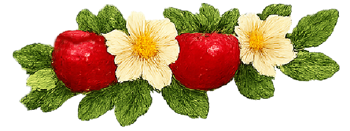 Annie's Orchard - Apple Flower Logo Accent
