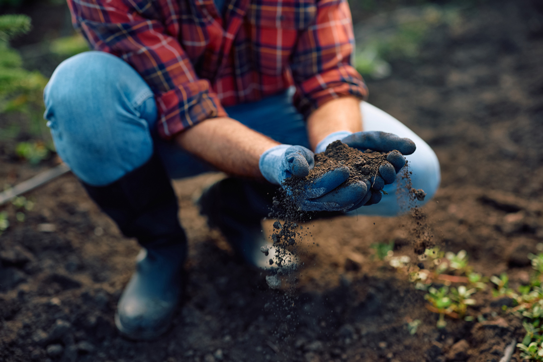 Garden Soil